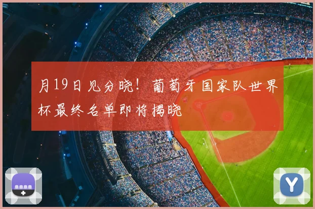 月19日见分晓！葡萄牙国家队世界杯最终名单即将揭晓